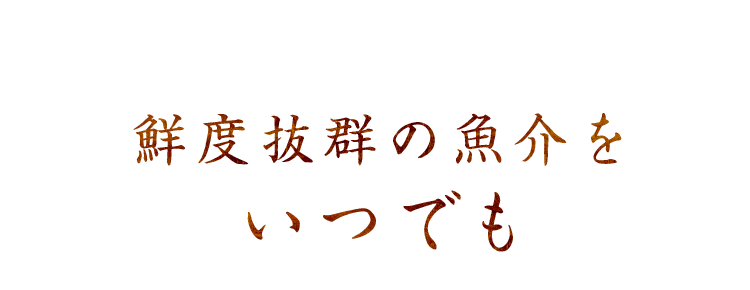 鮮度抜群の魚介をいつでも